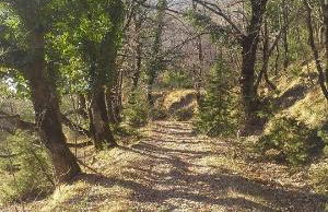 Agriturismo al Monte - Foto 45