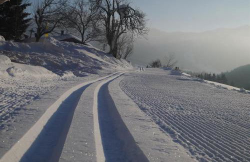 Alte Schmiede - Photo 7