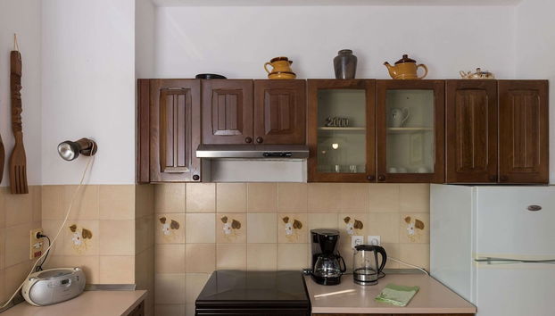 Apartment Vukic - Studio Apartment With Terrace and Garden View - Foto 4, Cocina privada