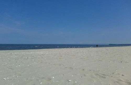 Gartenhaus im Ostseebad Trassenheide - Foto 12