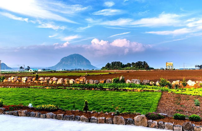 Boreum Pension - Foto 53