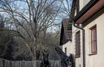 Ferienhaus Pure Jagst, Traum-Lage am Fluss mit Kaminzimmer und Infrarot-Wärmekabine - Foto 11