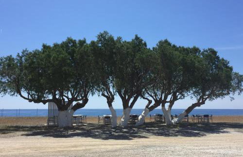 Koutsounari Traditional Cottages - Foto 118