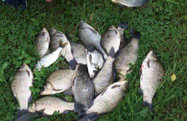 Agroturystyka nad stawami - Foto 24