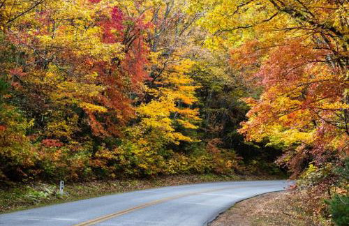 Serenity On The Lake - Foto 28