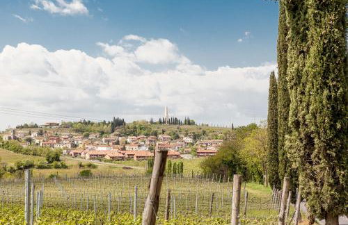 Le Bianchette Agriturismo e Fattoria Didattica - Foto 8