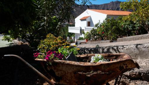 Finca el Moral - Foto 5