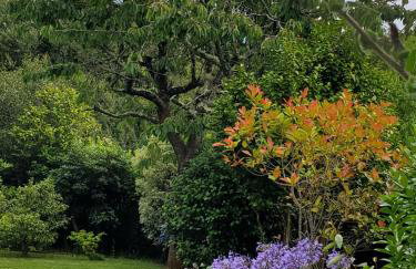 La villa des Dunes - 80m de la plage/paddle/vélos - Foto 18