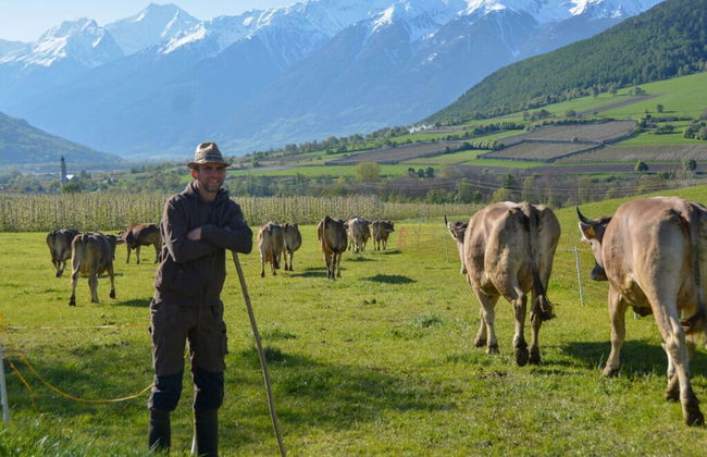 Hoamisch Modern Retreat - Foto 14