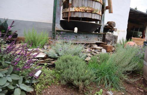 Winzerhaus Wehlener Sonnenuhr - Foto 15