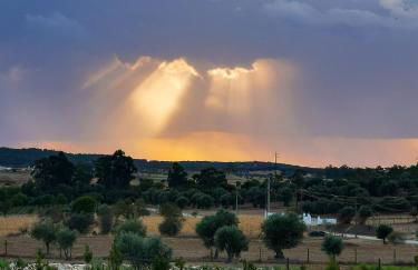 Monte de Palma- Quinta Biodinâmica Momentos Únicos - Foto 30
