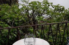 Residenza del Pascià - Appartamento Camphora - Foto 14