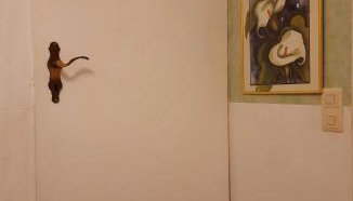 Schatte's kleines Appartement in Seelze - Foto 5