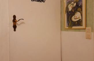 Schatte's kleines Appartement in Seelze - Foto 5