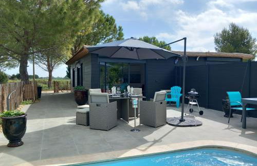 Domaine de L'Outarde Canepetiére Gîte A - Foto 1