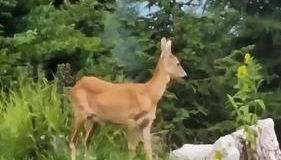 HOME SWEET HOME GIOSI - Foto 2