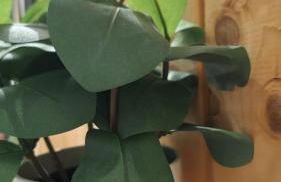 Chez Céline Sous la Neige - Vue montagne & ambiance chalet - Foto 7