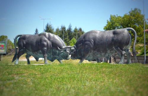 Casa Machado - Foto 38