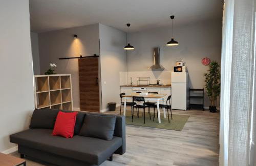 Lar de Yago - Apto Barreiros B - Foto 11