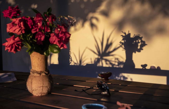 Ville Pini e Aurelia - Foto 33