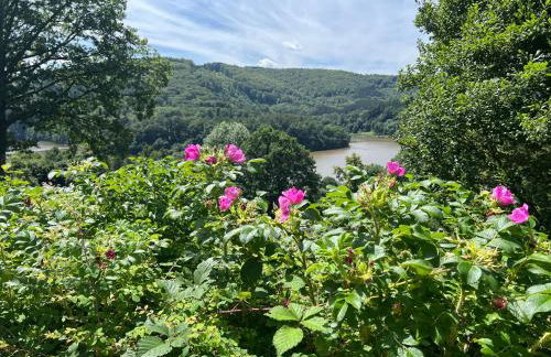 Ferienhaus Seeblick - Foto 34