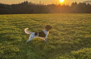 Bed and Bike Rheine - Foto 49