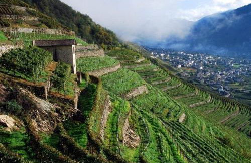 Sofi apartment - Foto 40