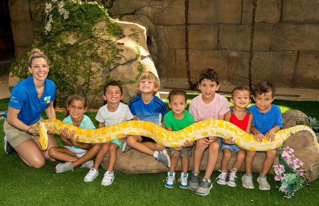 Entrada al Zoo de Miami - Foto 4