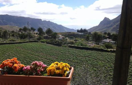 Casa Agustín Pool 27 ºC - Foto 11