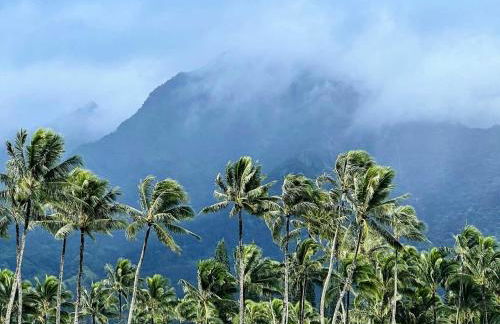 Kauai Beach Villas E16 - Foto 39