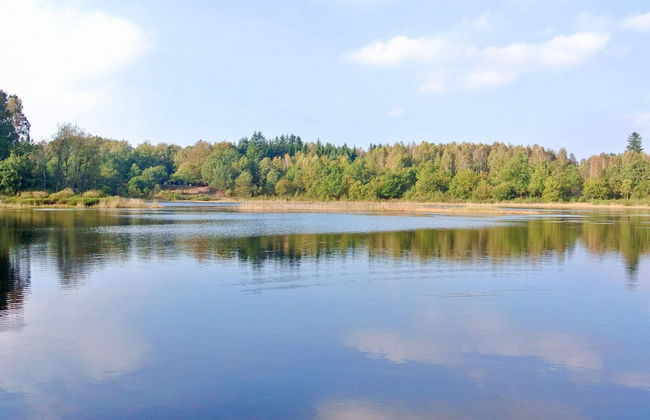 4 Person Holiday Home in Aars - Foto 31