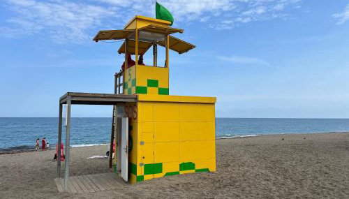 Delfín verde - Foto 3