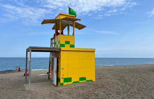 Delfín verde - Foto 3