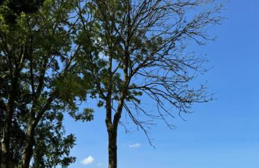 Ferienwohnung und Pension Knabbe - Foto 29