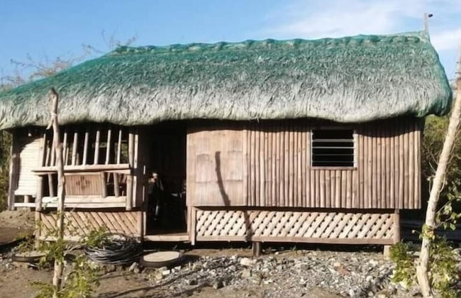 Live N Love - Photo 14