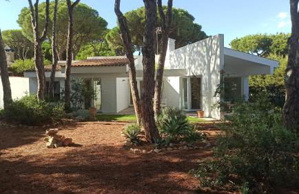 Diseño y luz entre los pinos - Foto 49