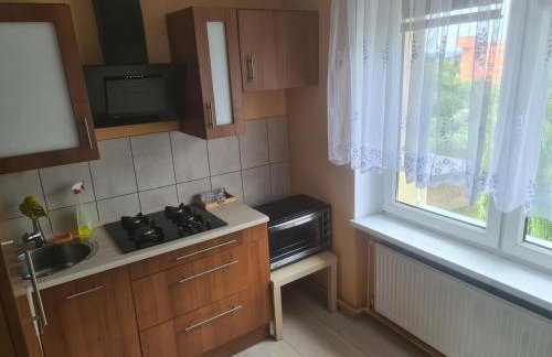 Apartament mieszkanie do wynajęcia Słomki - Foto 2