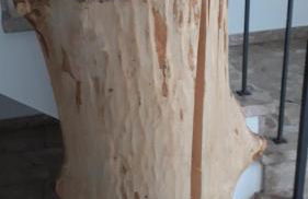 Isoldes Landhaus - Foto 49