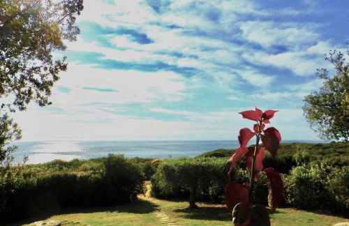 BGItalianVacation - Ville di Rocca Sant'Elmo - Foto 71