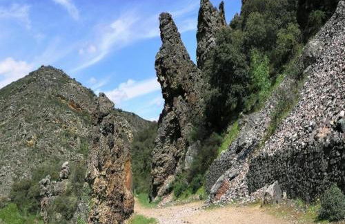 Cottage in Navas de Estena near Cabañeros Park - Foto 38
