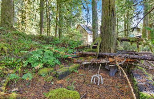 Rockin Rhody Retreat - Foto 51