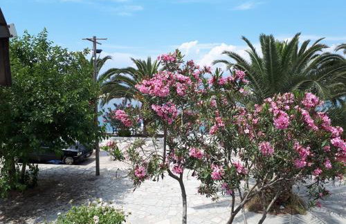 POPI 'S HOME - Foto 59