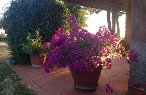 Tuscany country house, Poggio Vitale - Foto 71