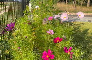 Gdzieś Na Kaszubach - Domek z balią otoczony piękną naturą - Foto 29