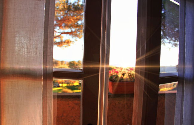 Agriturismo Anna De Croy - Foto 17