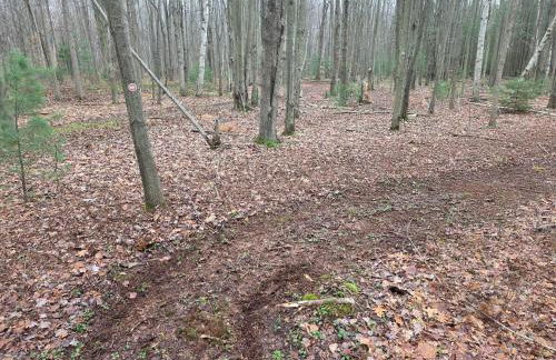 New Home with Game Room and Nature Trails in Port Huron - Photo 2