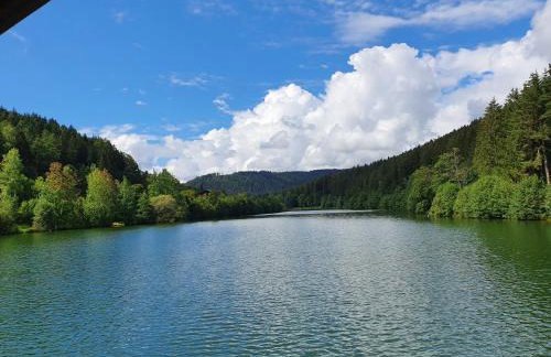 Haus Adler - Komplettes Ferienhaus am Badesee - Foto 20
