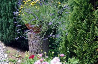 Sylvias Ranch - Foto 9