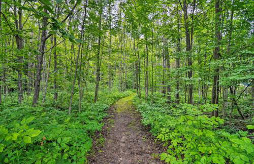 1 Mi to Nubs Nob Pet-Friendly Home with Hot Tub - Foto 38