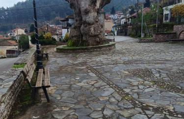 Platanos Nest -Pet Friendly - Foto 16